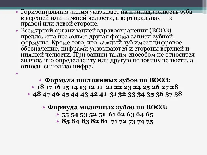 Горизонтальная линия указывает на принадлежность зуба к верхней или нижней