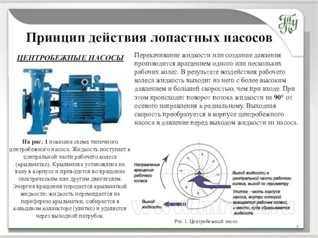 Принцип действия лопастных насосов Перекачивание жидкости или создание давления производится вращением одного или