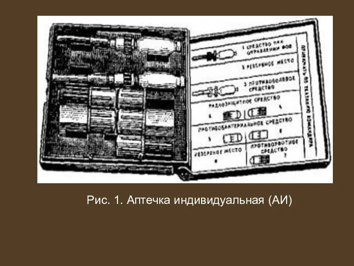 Рис. 1. Аптечка индивидуальная (АИ)