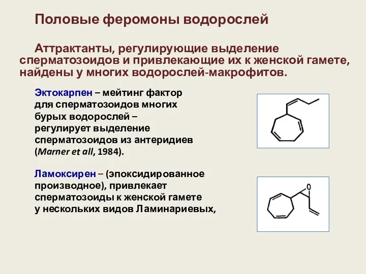 Половые феромоны водорослей Аттрактанты, регулирующие выделение сперматозоидов и привлекающие их