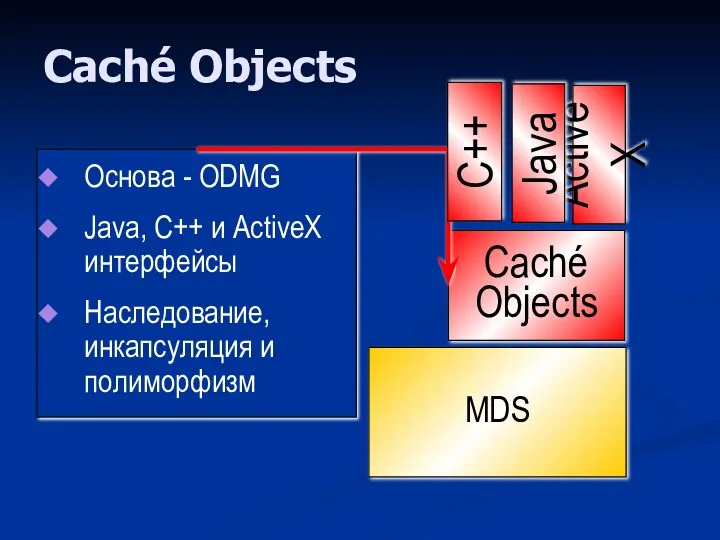 Caché Objects Caché Objects MDS Основа - ODMG Java, C++