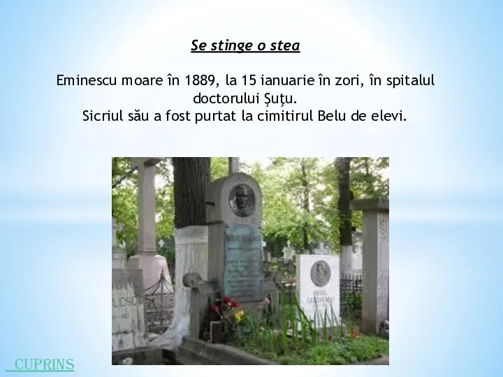 Se stinge o stea Eminescu moare în 1889, la 15