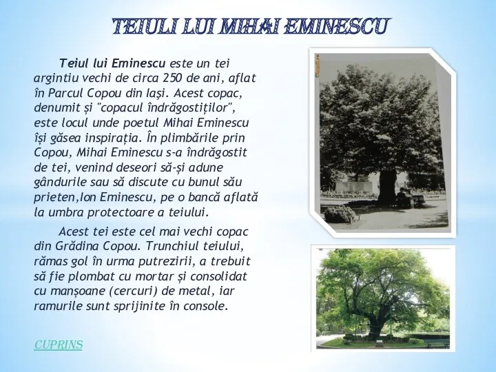 Teiuli lui mihai eminescu Teiul lui Eminescu este un tei