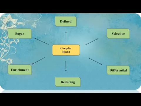 Complex Media Sugar Selective Enrichment Differential Defined Reducing