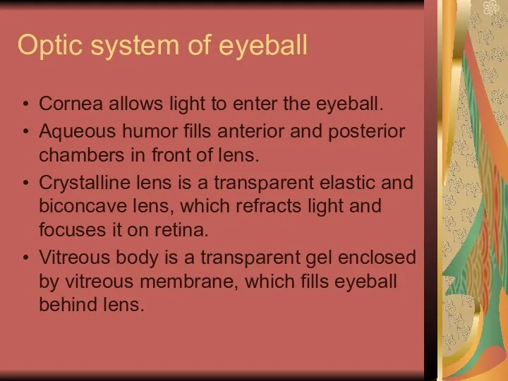 Optic system of eyeball Cornea allows light to enter the