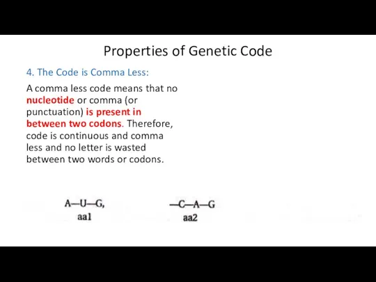 Properties of Genetic Code 4. The Code is Comma Less: A comma less