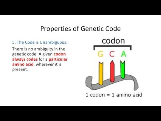 Properties of Genetic Code 5. The Code is Unambiguous: There