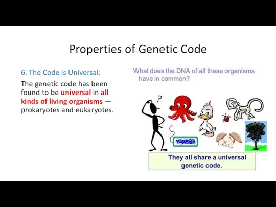 Properties of Genetic Code 6. The Code is Universal: The