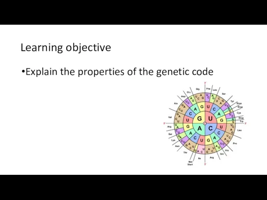 Learning objective Explain the properties of the genetic code