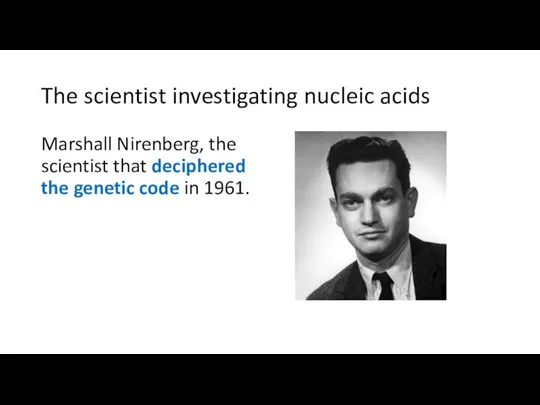 The scientist investigating nucleic acids Marshall Nirenberg, the scientist that deciphered the genetic code in 1961.