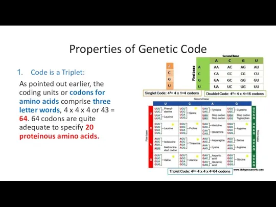 Properties of Genetic Code Code is a Triplet: As pointed out earlier, the