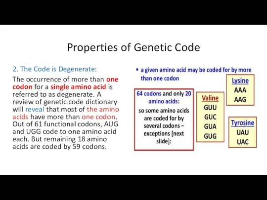 Properties of Genetic Code 2. The Code is Degenerate: The occurrence of more