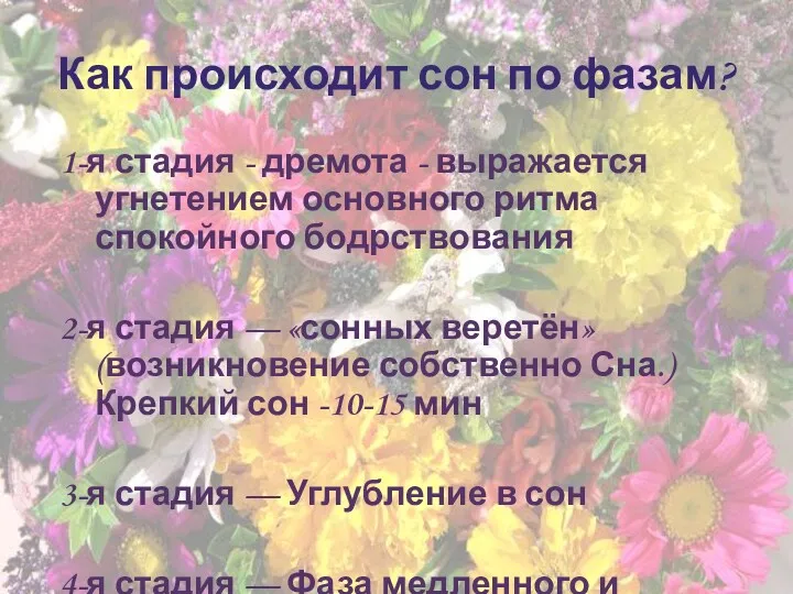 Как происходит сон по фазам? 1-я стадия - дремота - выражается угнетением основного