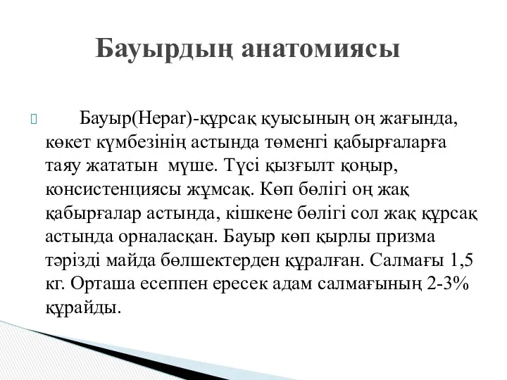 Бауыр(Hepar)-құрсақ қуысының оң жағында, көкет күмбезінің астында төменгі қабырғаларға таяу