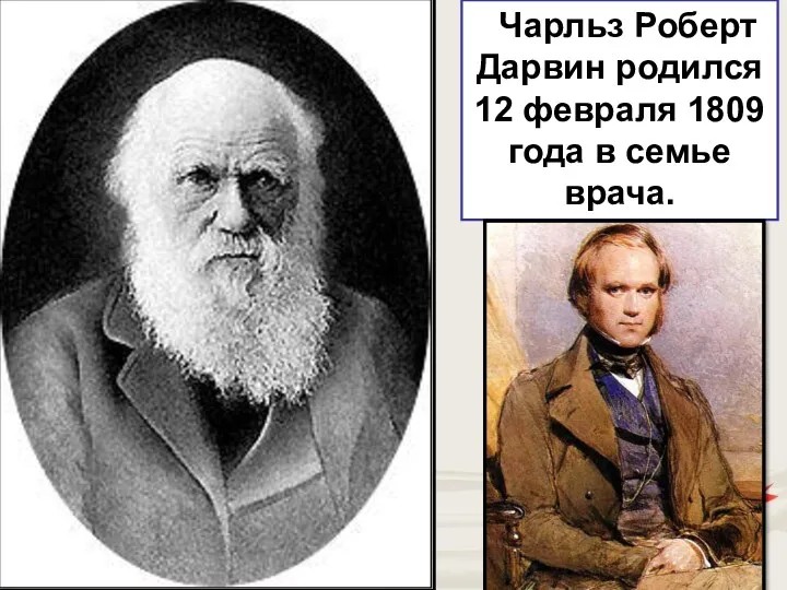 Чарльз Роберт Дарвин родился 12 февраля 1809 года в семье врача.