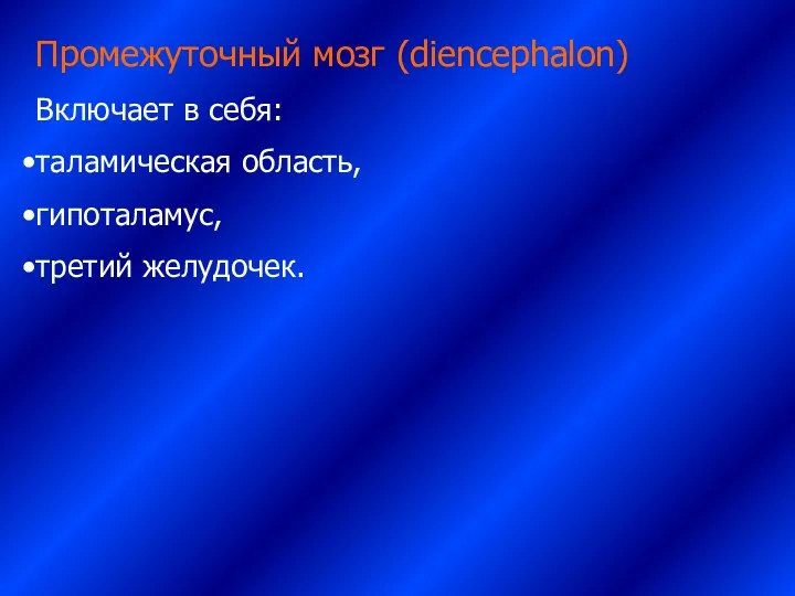 Промежуточный мозг (diencephalon) Включает в себя: таламическая область, гипоталамус, третий желудочек.