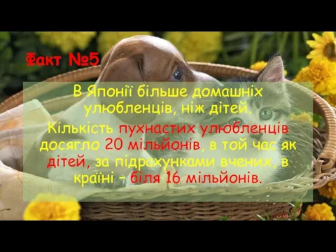 Факт №5 В Японії більше домашніх улюбленців, ніж дітей. Кількість