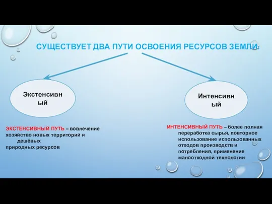 СУЩЕСТВУЕТ ДВА ПУТИ ОСВОЕНИЯ РЕСУРСОВ ЗЕМЛИ: Экстенсивный Интенсивный ЭКСТЕНСИВНЫЙ ПУТЬ