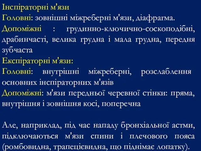 Інспіраторні м'язи Головні: зовнішні міжреберні м'язи, діафрагма. Допоміжні : грудинно-ключично-соскоподібні,