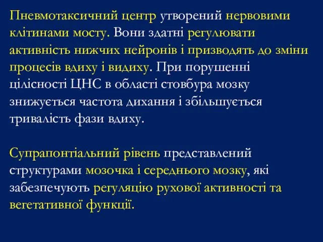 Пневмотаксичний центр утворений нервовими клітинами мосту. Вони здатні регулювати активність