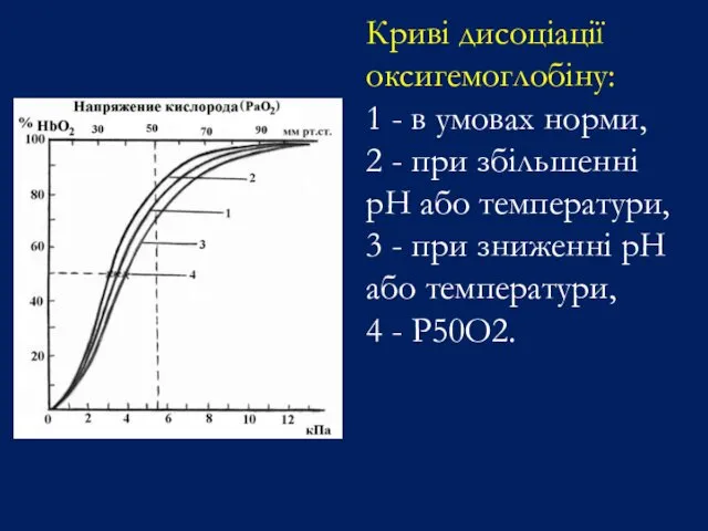 Криві дисоціації оксигемоглобіну: 1 - в умовах норми, 2 -