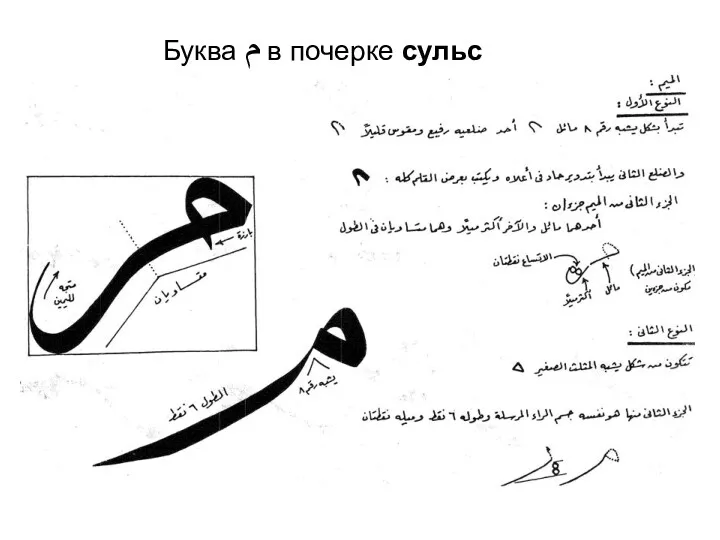 Буква م в почерке сульс