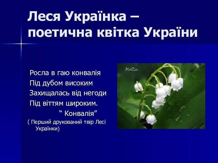 Леся Українка – поетична квітка України Росла в гаю конвалія Під дубом високим