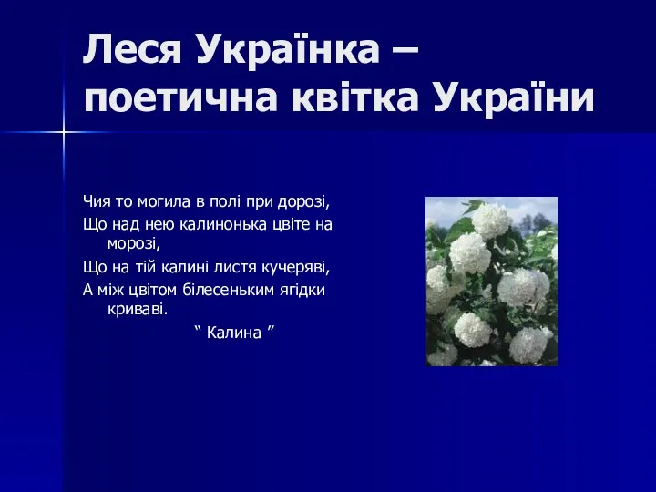Леся Українка – поетична квітка України Чия то могила в полі при дорозі,
