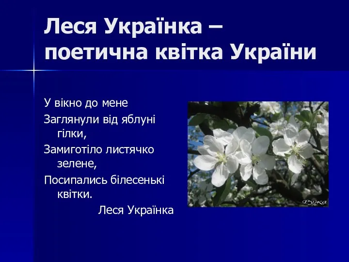 Леся Українка – поетична квітка України У вікно до мене Заглянули від яблуні