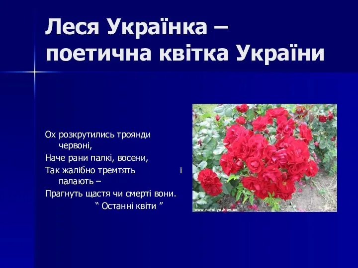 Леся Українка – поетична квітка України Ох розкрутились троянди червоні, Наче рани палкі,