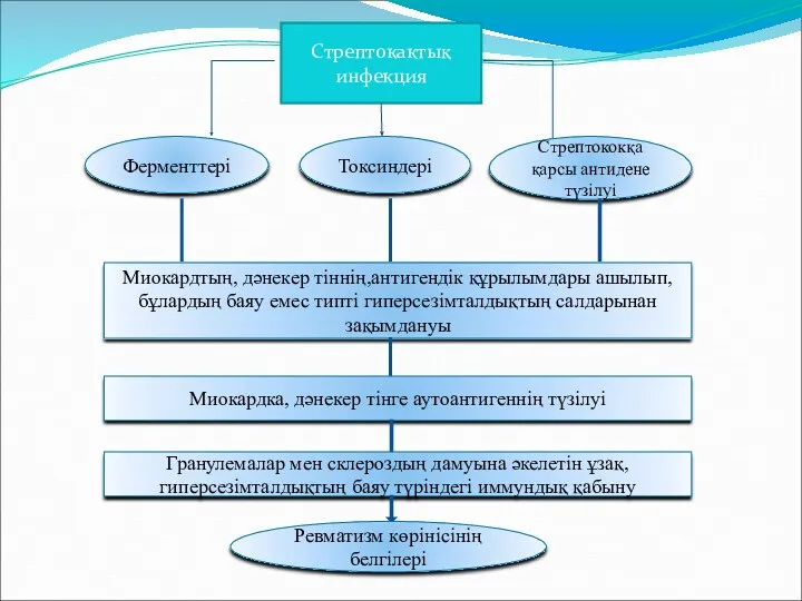 Стрептокактық инфекция Ферменттері Токсиндері Стрептококқа қарсы антидене түзілуі Миокардтың, дәнекер