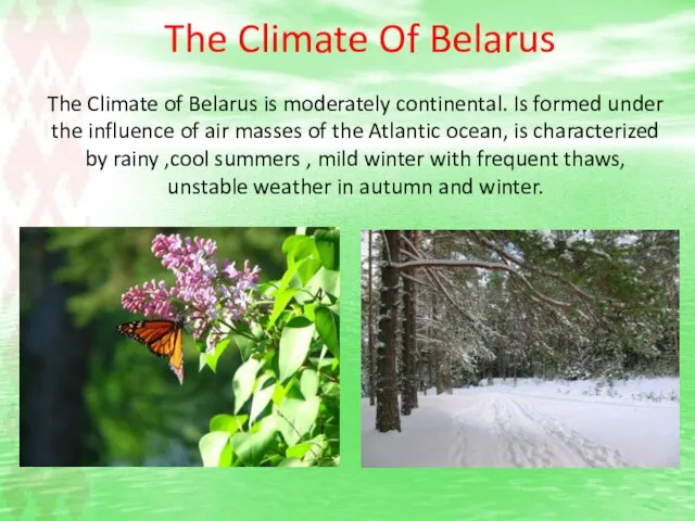 The Climate Of Belarus The Climate of Belarus is moderately