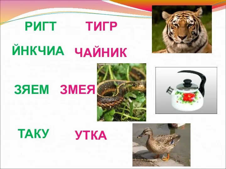 РИГТ ТИГР ТАКУ УТКА ЗЯЕМ ЗМЕЯ ЙНКЧИА ЧАЙНИК