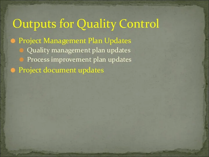 Project Management Plan Updates Quality management plan updates Process improvement plan updates Project