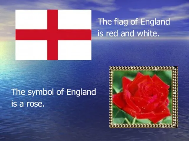 The flag of England is red and white. The symbol of England is a rose.