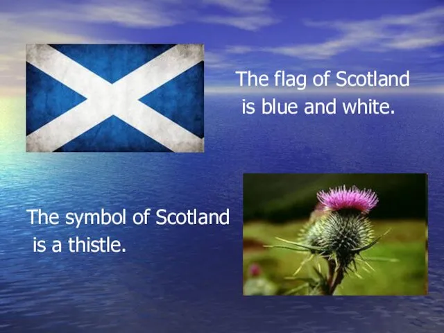 The flag of Scotland is blue and white. The symbol of Scotland is a thistle.