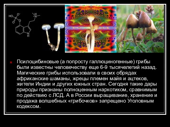 Псилоцибиновые (а попросту галлюциногенные) грибы были известны человечеству еще 6-9 тысячелетий назад. Магические