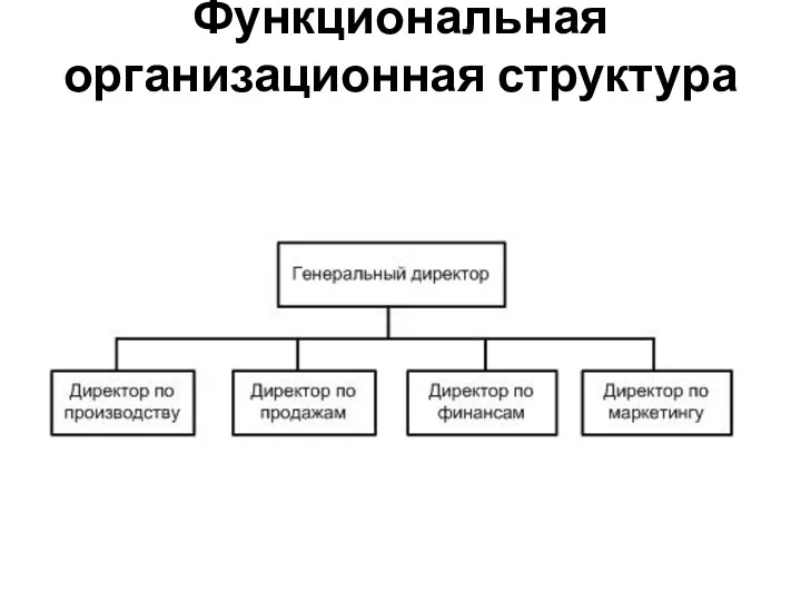 Функциональная организационная структура