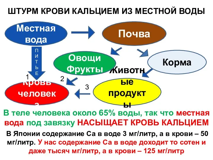 ШТУРМ КРОВИ КАЛЬЦИЕМ ИЗ МЕСТНОЙ ВОДЫ В теле человека около