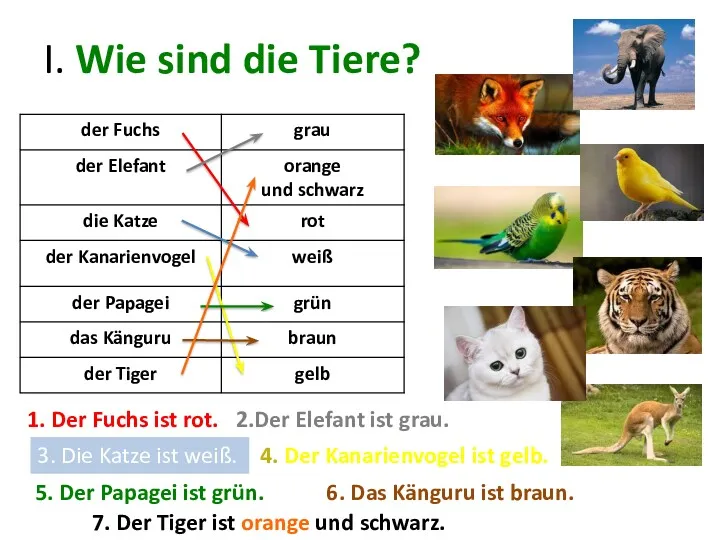 I. Wie sind die Tiere? 1. Der Fuchs ist rot.