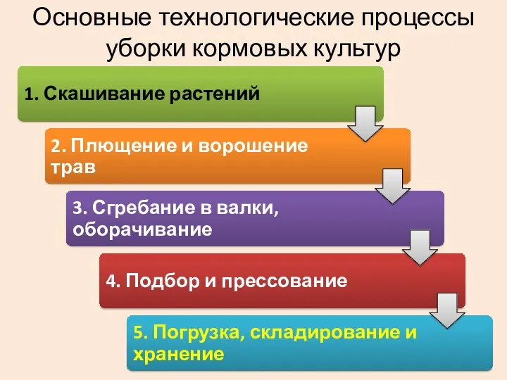 Основные технологические процессы уборки кормовых культур