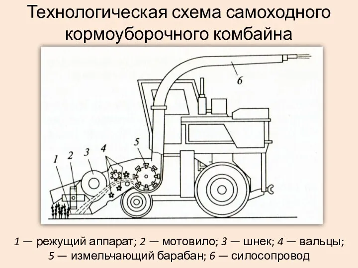Технологическая схема самоходного кормоуборочного комбайна 1 — режущий аппарат; 2 — мотовило; 3