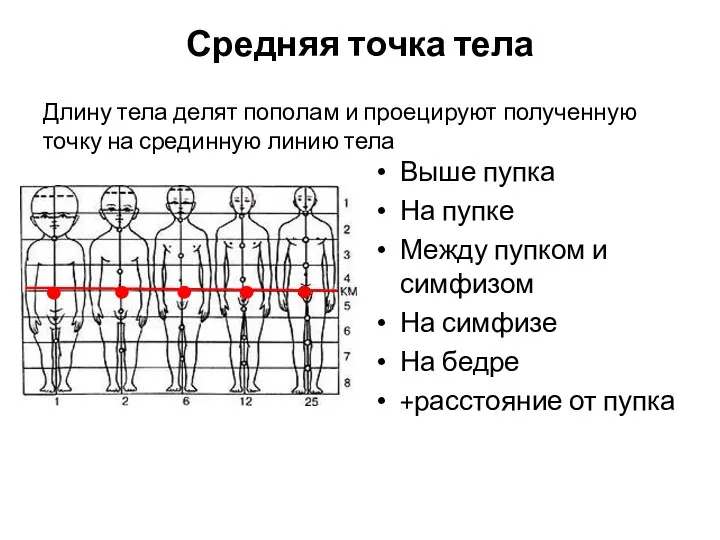 Средняя точка тела Длину тела делят пополам и проецируют полученную точку на срединную