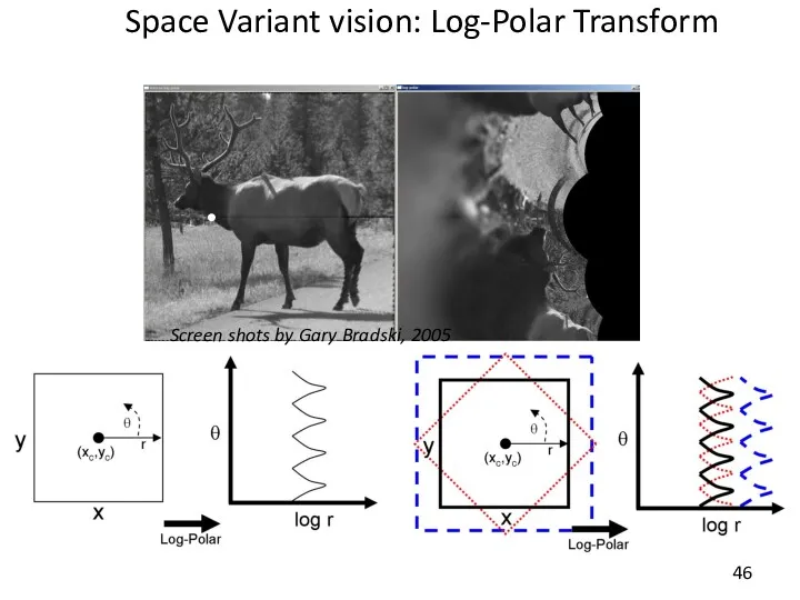 Space Variant vision: Log-Polar Transform Screen shots by Gary Bradski, 2005