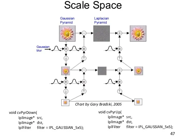 Scale Space void cvPyrDown( IplImage* src, IplImage* dst, IplFilter filter