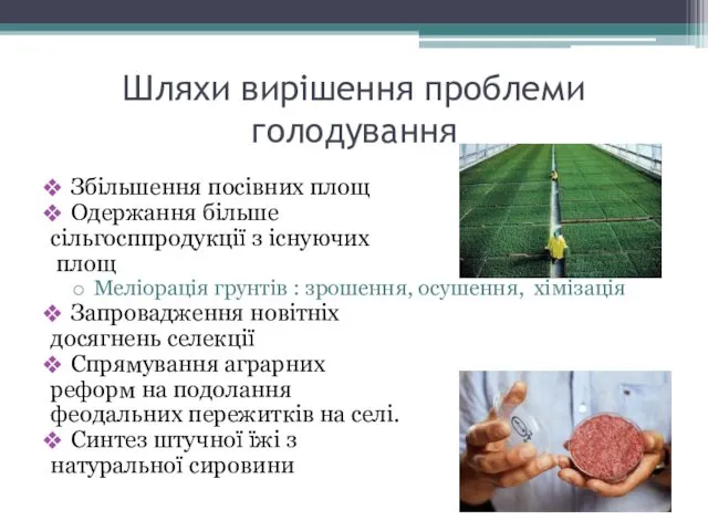 Шляхи вирішення проблеми голодування Збільшення посівних площ Одержання більше сільгосппродукції