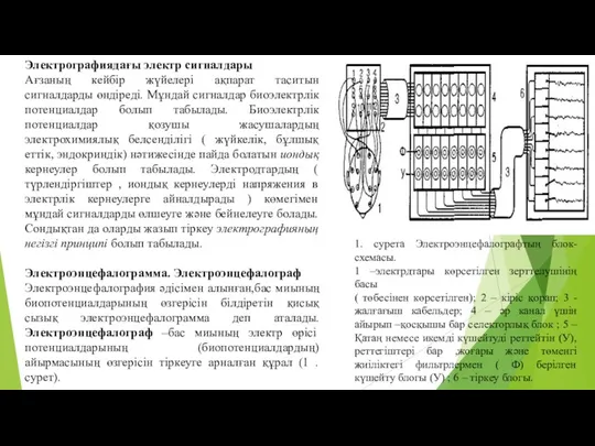 Электрографиядағы электр сигналдары Ағзаның кейбір жүйелері ақпарат таситын сигналдарды өндіреді. Мұндай сигналдар биоэлектрлік