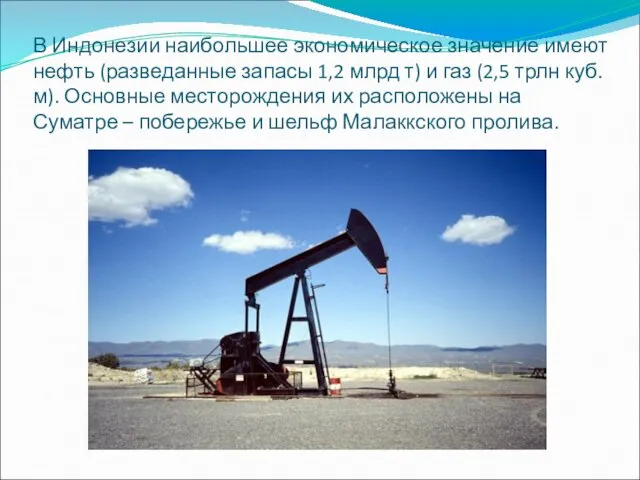 В Индонезии наибольшее экономическое значение имеют нефть (разведанные запасы 1,2