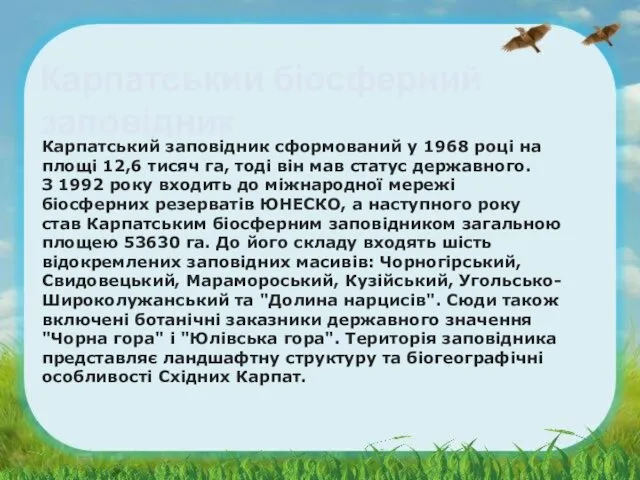 Карпатський біосферний заповідник Карпатський заповідник сформований у 1968 році на