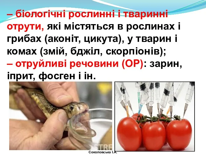 – біологічні рослинні і тваринні отрути, які містяться в рослинах